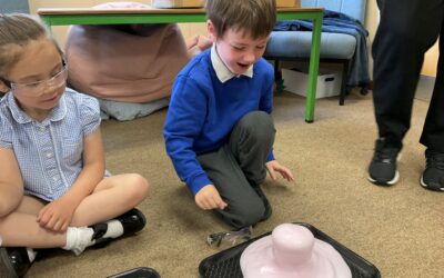 Science Week in Reception