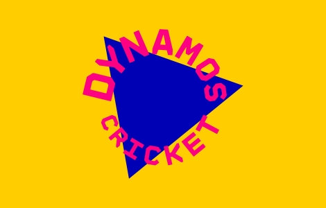 Free cricket in the Summer!