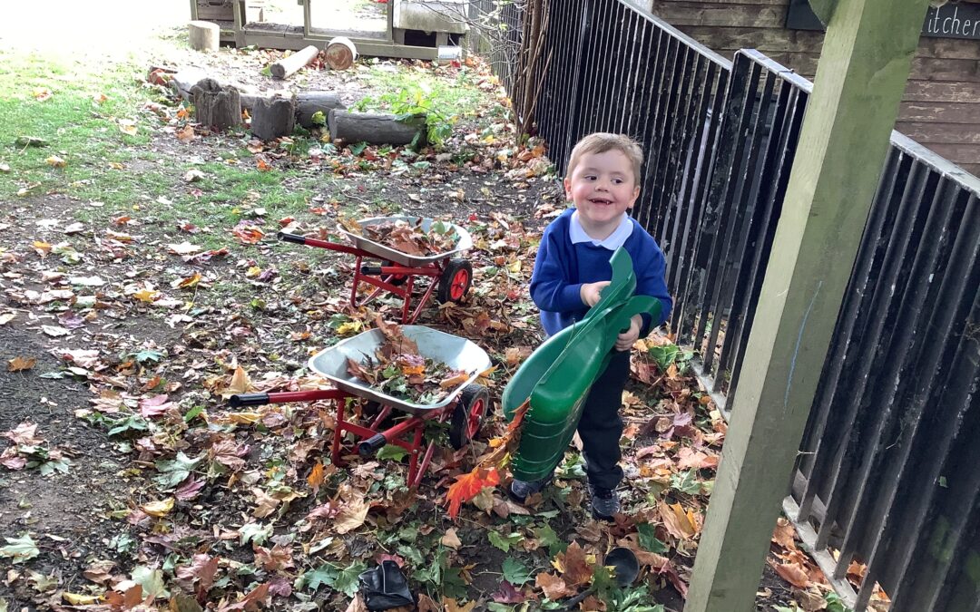 From Leaves to Lupins: Another Week of Discovery