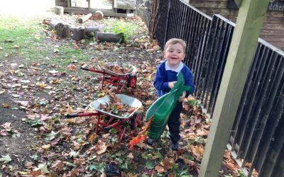 From Leaves to Lupins: Another Week of Discovery