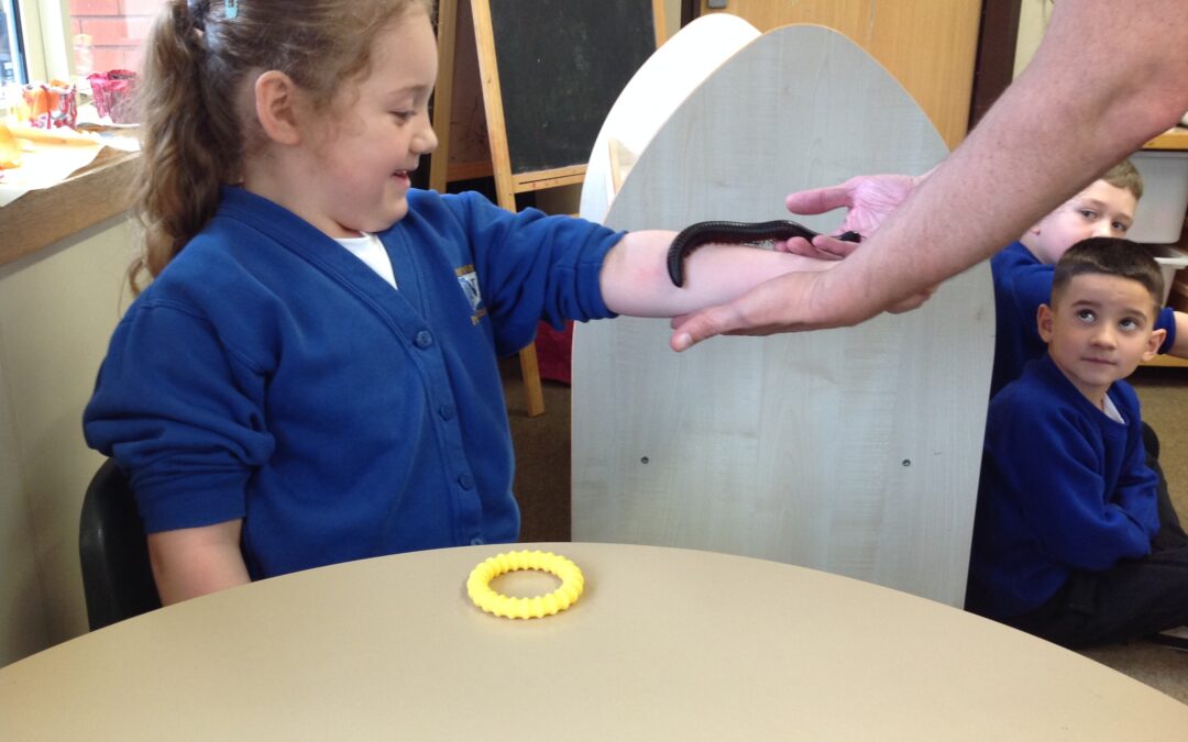 KS1 make friends with some creepy crawlies