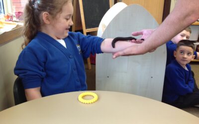 KS1 make friends with some creepy crawlies