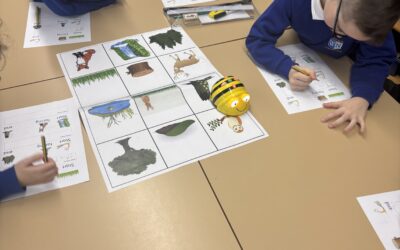 Exploring Beebots in KS1