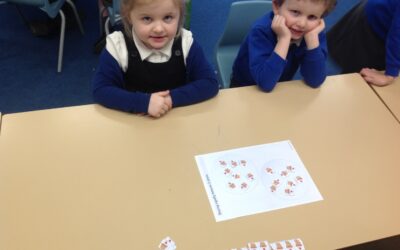 Owls share and share alike