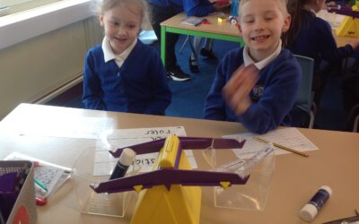 Owls – worth the weigh-t!