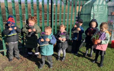 Hello Spring! Exploring, Creating and Investigating