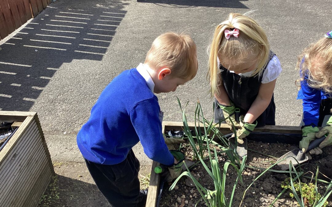 Helping Plants Grow, One Spade at a Time