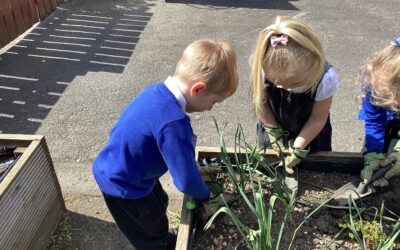 Helping Plants Grow, One Spade at a Time
