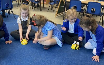 Robots, Instructions and Bee‑Bots!
