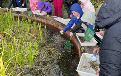 KS1 Trip to Washington Wetlands