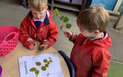 Tree Detectives: Discovering Nature Around Us