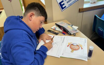 UKS2 Science -How we see light