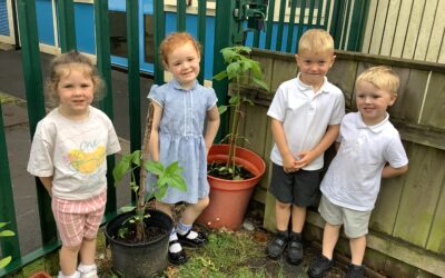 Our Week in Nursery: Exploring and Growing!