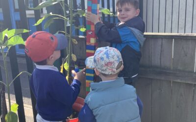 Sunflowers, Sandcastles and Summer Fun in Nursery