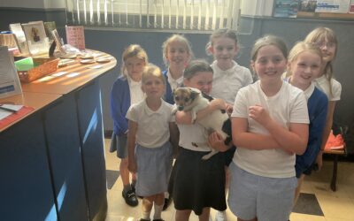 LKS2 Fundraisers Visit Brysons Animal Shelter