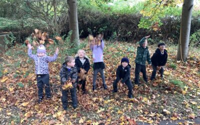 Autumn Adventures and Natural Art