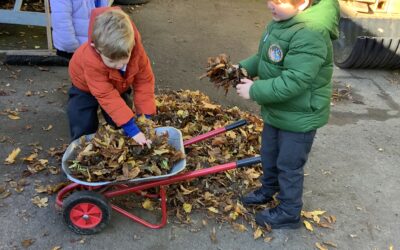 A Week of Home, Nature and Music in Nursery